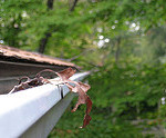 Rain Gutter Angst